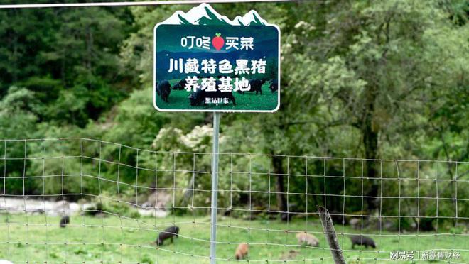 生鲜电商的无限游戏(图4)