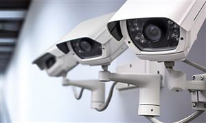 有机农业行业发展现状及未来潜力、投资策略分析2024(图3)