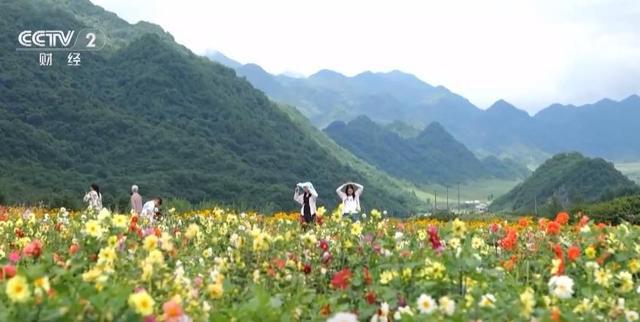 避暑游持续升温“清凉经济”激发夏日文旅消费新动能(图5)