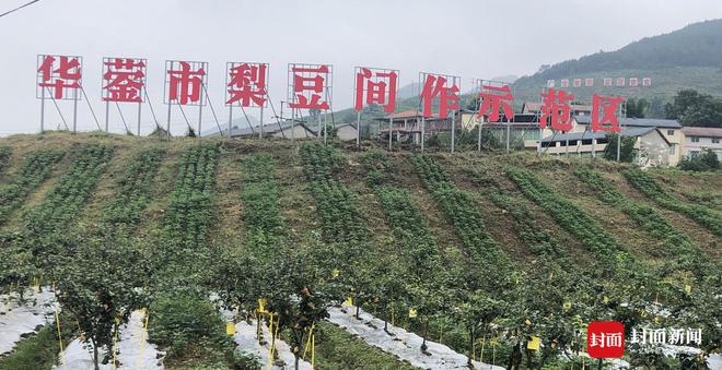 四川广安2024年农业农村工作第二次大比武落幕13个考点过堂(图1)