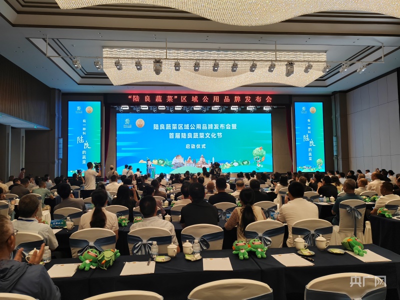 云南“陆良蔬菜”区域公用品牌正式授权投入使用(图1)