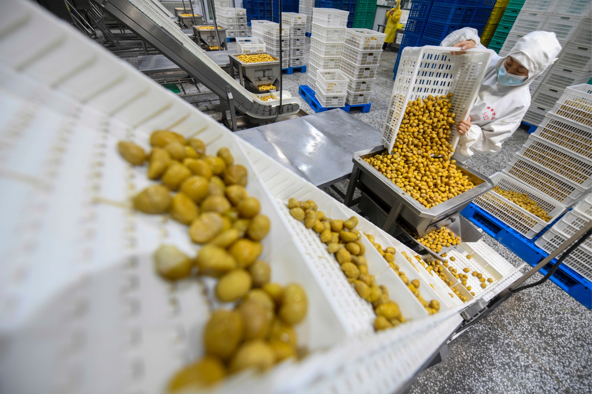 河北宽城再次获批全国绿色食品原料标准化生产基地(图2)
