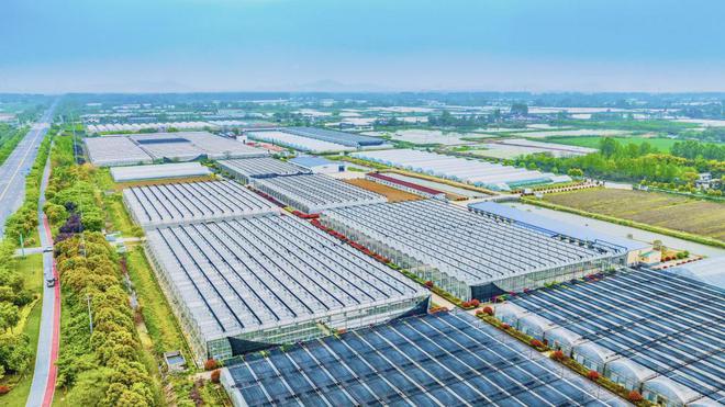 2024中国蔬菜产业大会！收藏这份保姆级攻略出发(图1)