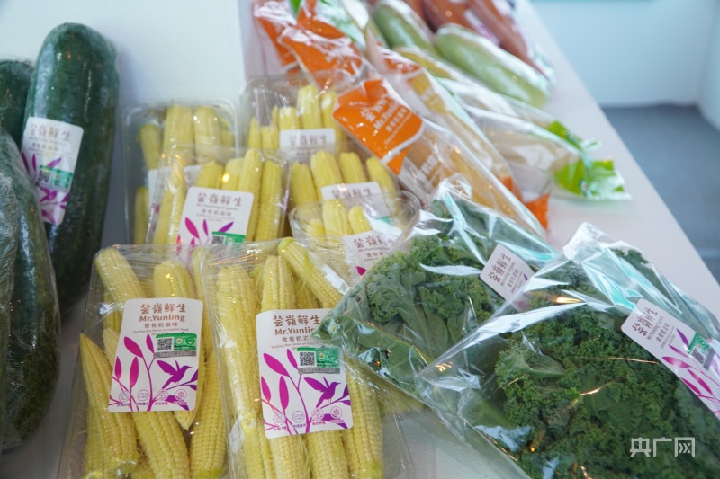 【第8届南博会】花果飘香高原特色农产品集体出圈(图4)