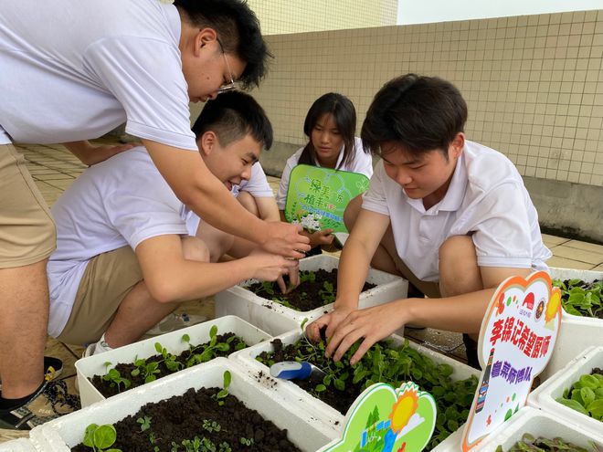 2024年绿美种植大挑战李锦记喜摘双奖(图3)