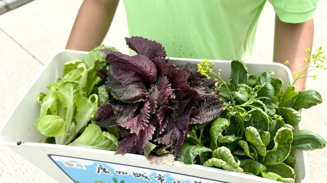 2024年绿美种植大挑战李锦记喜摘双奖(图4)