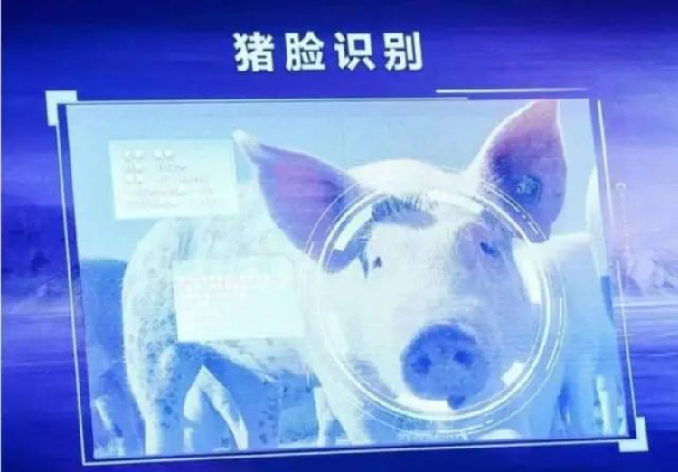 探寻AI时代智慧农业新未来！2024年生物光学与智慧农业国际论坛在广州召开-广东省农村厅(图3)