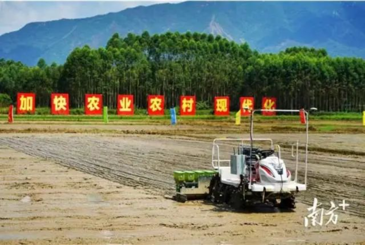 探寻AI时代智慧农业新未来！2024年生物光学与智慧农业国际论坛在广州召开-广东省农村厅(图5)
