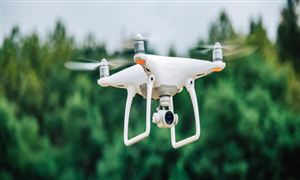 有机农产品行业现状调查与消费需求2024(图6)