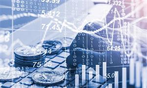 有机农产品行业现状调查与消费需求2024(图4)