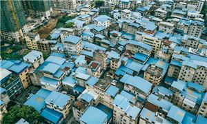 2024年中国有机农业​市场规模及未来发展趋势(图3)