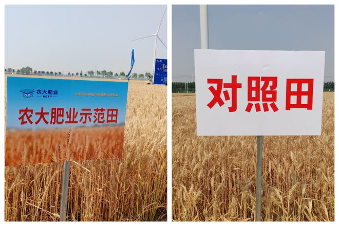 “了不起的腐植酸”2024实打实收中国行在山东禹城启动！(图7)