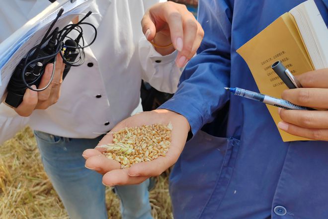 “了不起的腐植酸”2024实打实收中国行在山东禹城启动！(图10)