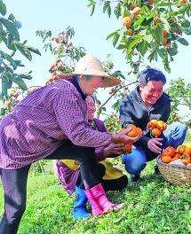 江苏省镇江市句容市戴庄村：稻花香里致富路宽(图1)