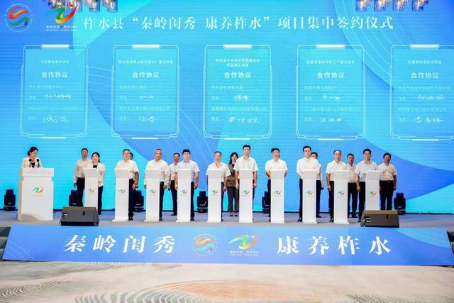 第八届丝博会柞水县政商恳谈会暨项目集中签约仪式在西安举行(图4)