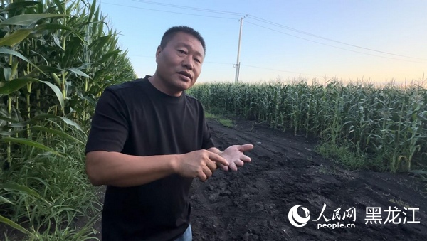 黑龙江依安：探索“农村三问”解题之道切实提高农民收入(图1)