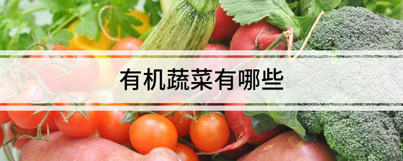 有机蔬菜有哪些(图1)
