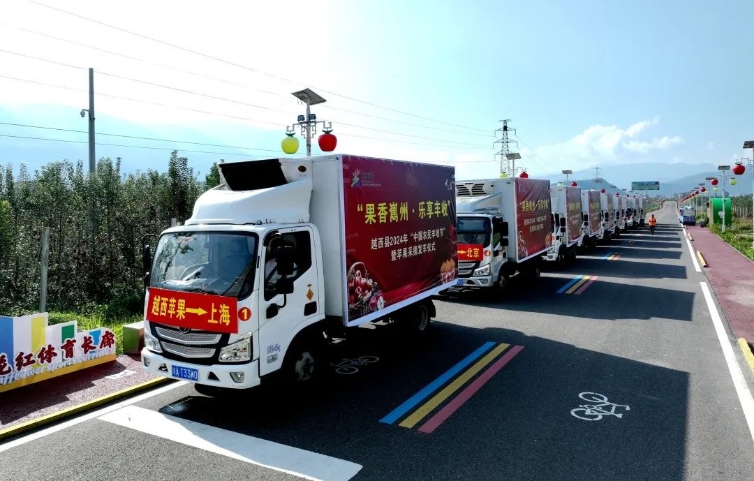 做优特色产业宁波江北携手越西共绘乡村振兴新图景(图2)