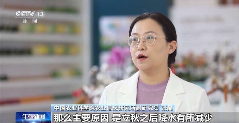 菜价波动后逐渐回落如何拎稳“菜篮子”？(图3)