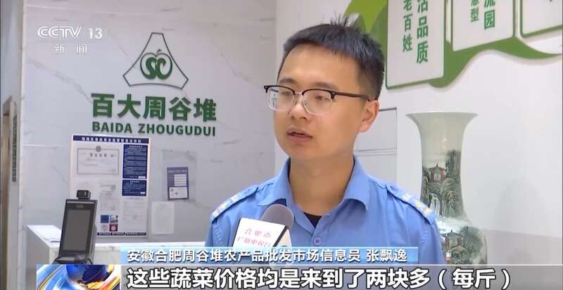菜价波动后逐渐回落如何拎稳“菜篮子”？(图6)