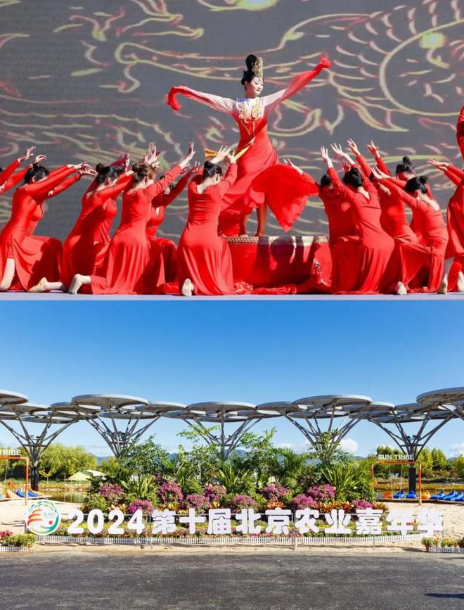 2024第十届北京农业嘉年华在昌平草莓博览园开幕(图1)