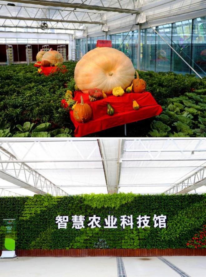 2024第十届北京农业嘉年华在昌平草莓博览园开幕(图3)