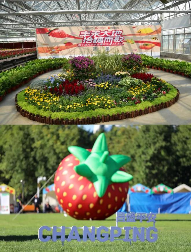 2024第十届北京农业嘉年华在昌平草莓博览园开幕(图8)