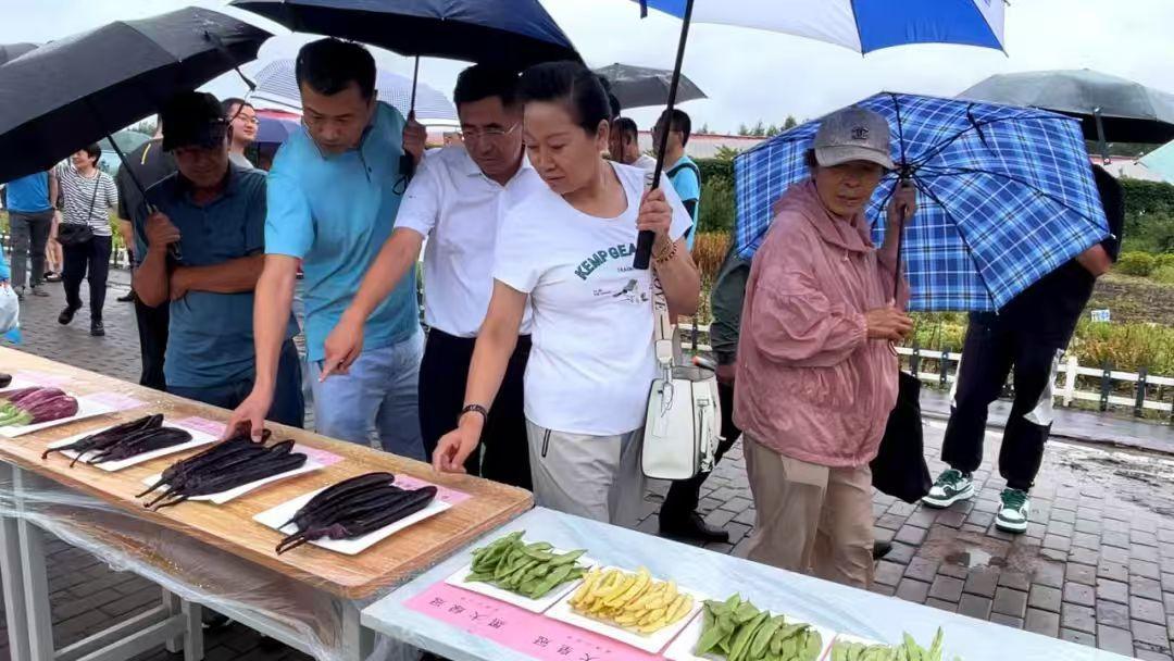 黑龙江推广种植13个蔬菜优异品种(图2)