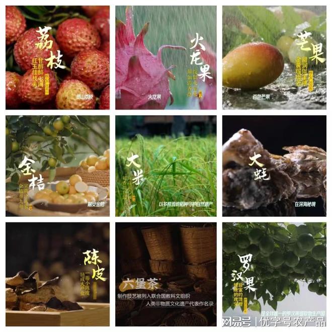 绿色“桂品”扬帆启航——2024广西绿色食品宣传月活动启动(图2)