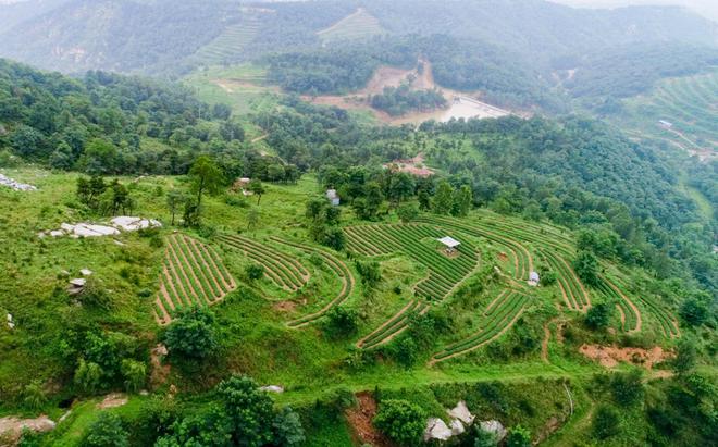 山东日照圣谷山大梁山有机茶园：入选首批“中国大美茶山”亮相2024第三届宝船国际茶文化节（香港）(图9)