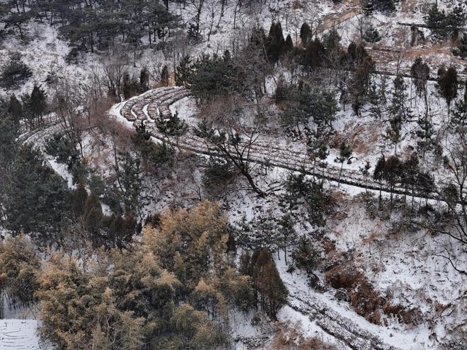 山东日照圣谷山大梁山有机茶园：入选首批“中国大美茶山”亮相2024第三届宝船国际茶文化节（香港）(图10)