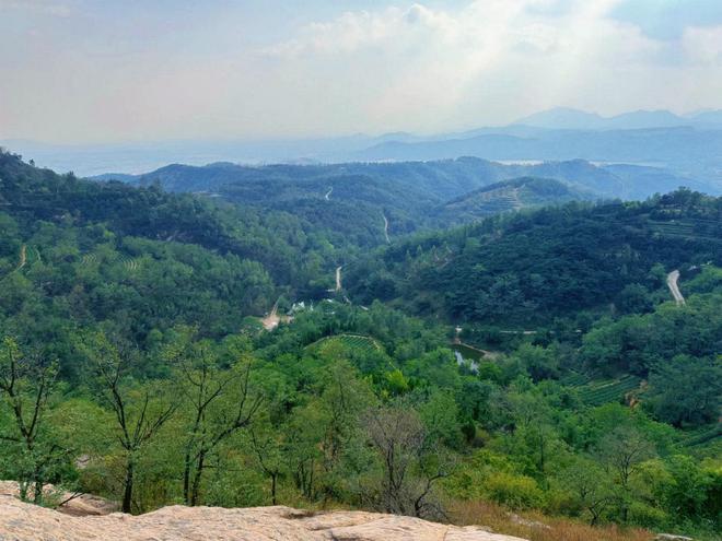 山东日照圣谷山大梁山有机茶园：入选首批“中国大美茶山”亮相2024第三届宝船国际茶文化节（香港）(图5)