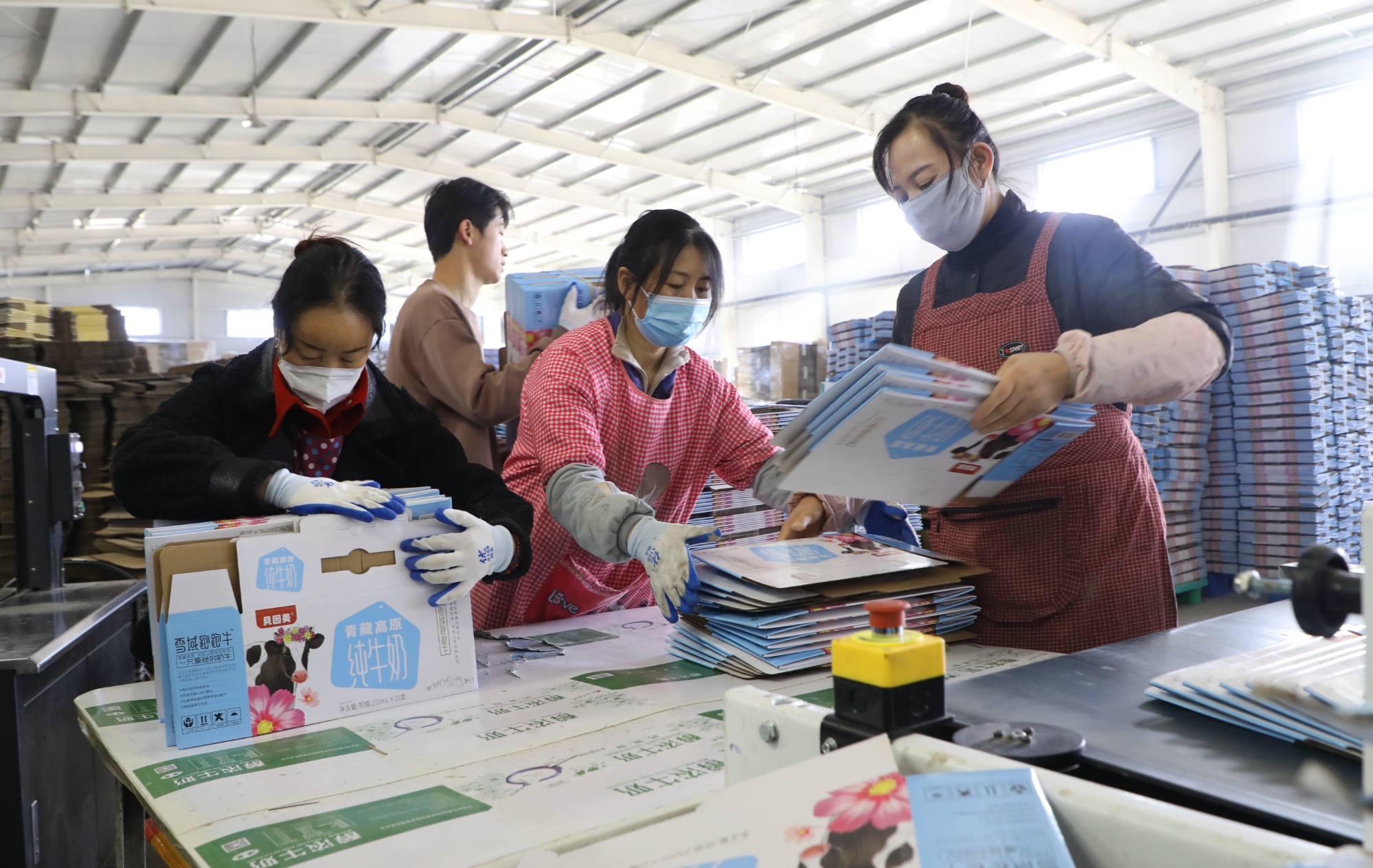 甘肃民乐：跑好开局“第一棒”拼出首季“开门红”(图2)