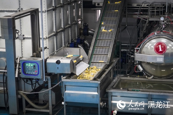 秋韵鹤城丨克东县构建鲜食玉米产业集群式、一体化发展新格局(图2)