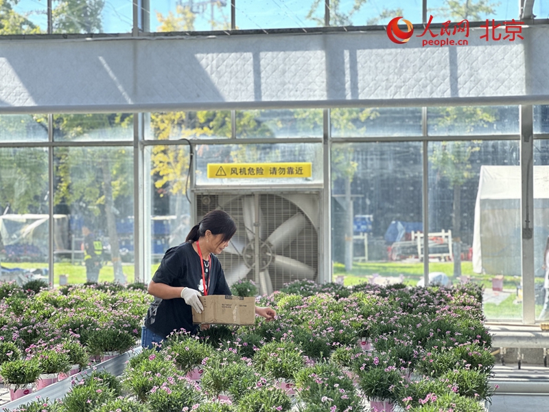 2024第十届北京农业嘉年华开幕将持续至10月7日(图4)