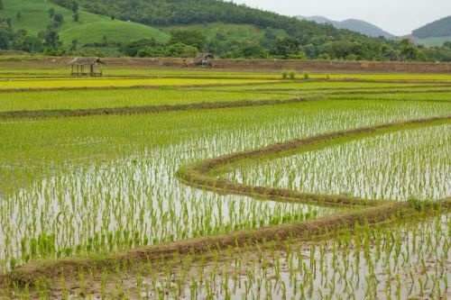 热烈庆祝至善清源海南分公司正式进入试营业阶段(图2)
