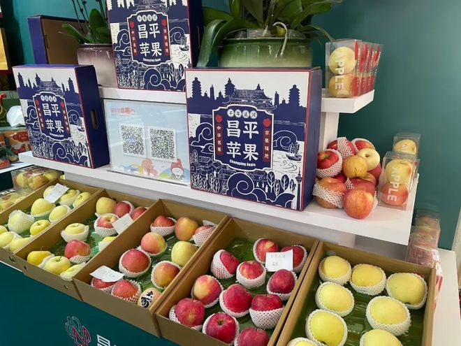 2024第十届北京农业嘉年华圆满收官！创新农业盛会绽放田园魅力(图3)