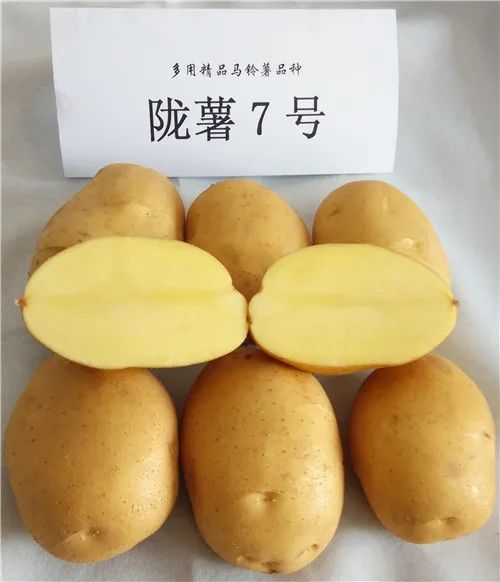 长江蔬菜(图2)