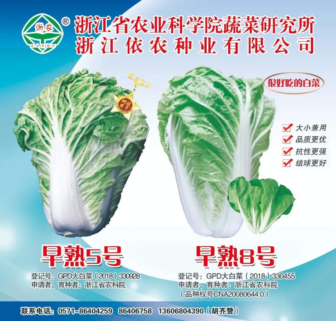 长江蔬菜(图8)