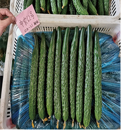 长江蔬菜(图9)