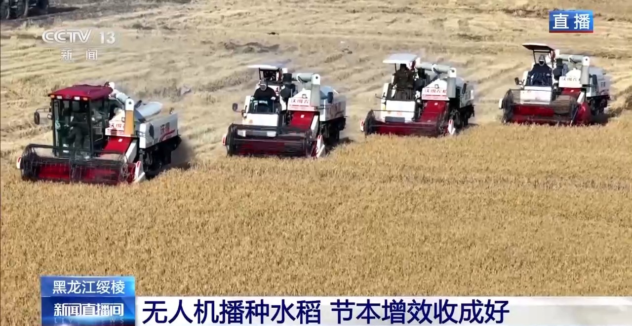 秋粮丰收在望10月的神州大地是金色的(图1)