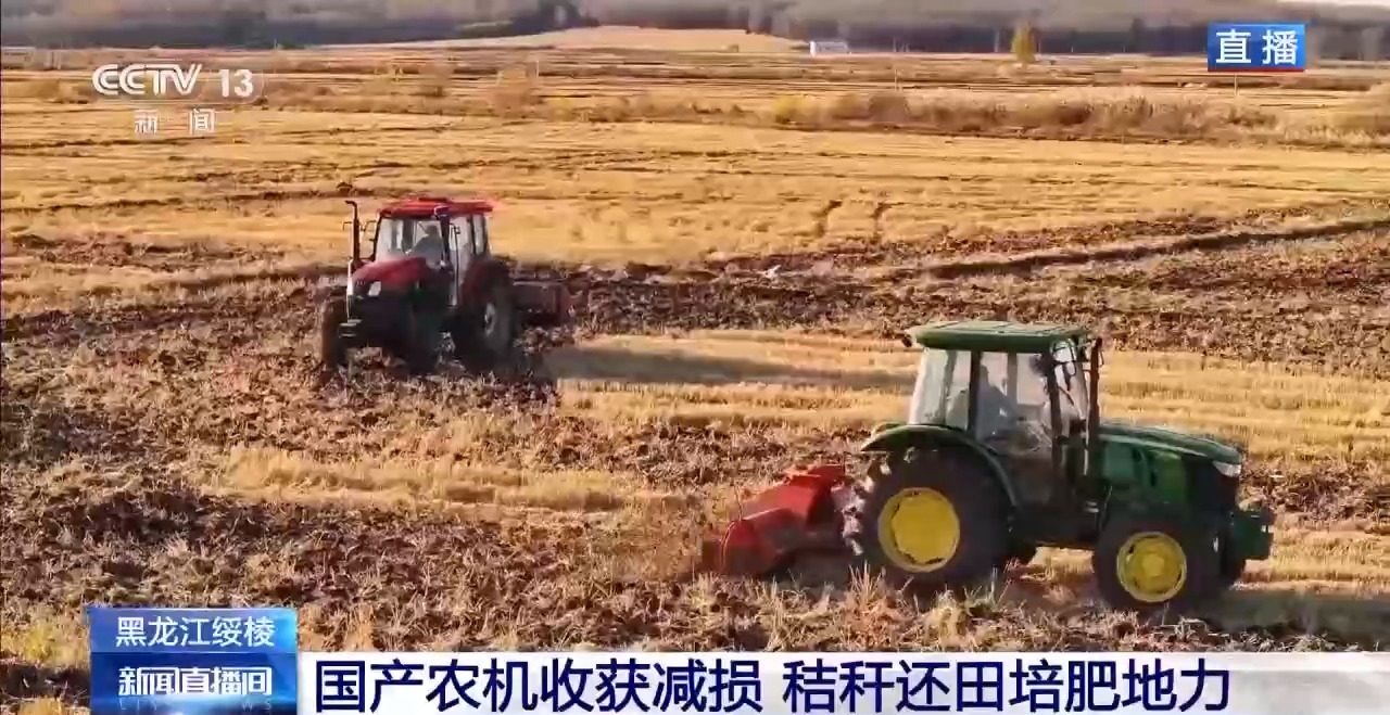 秋粮丰收在望10月的神州大地是金色的(图2)