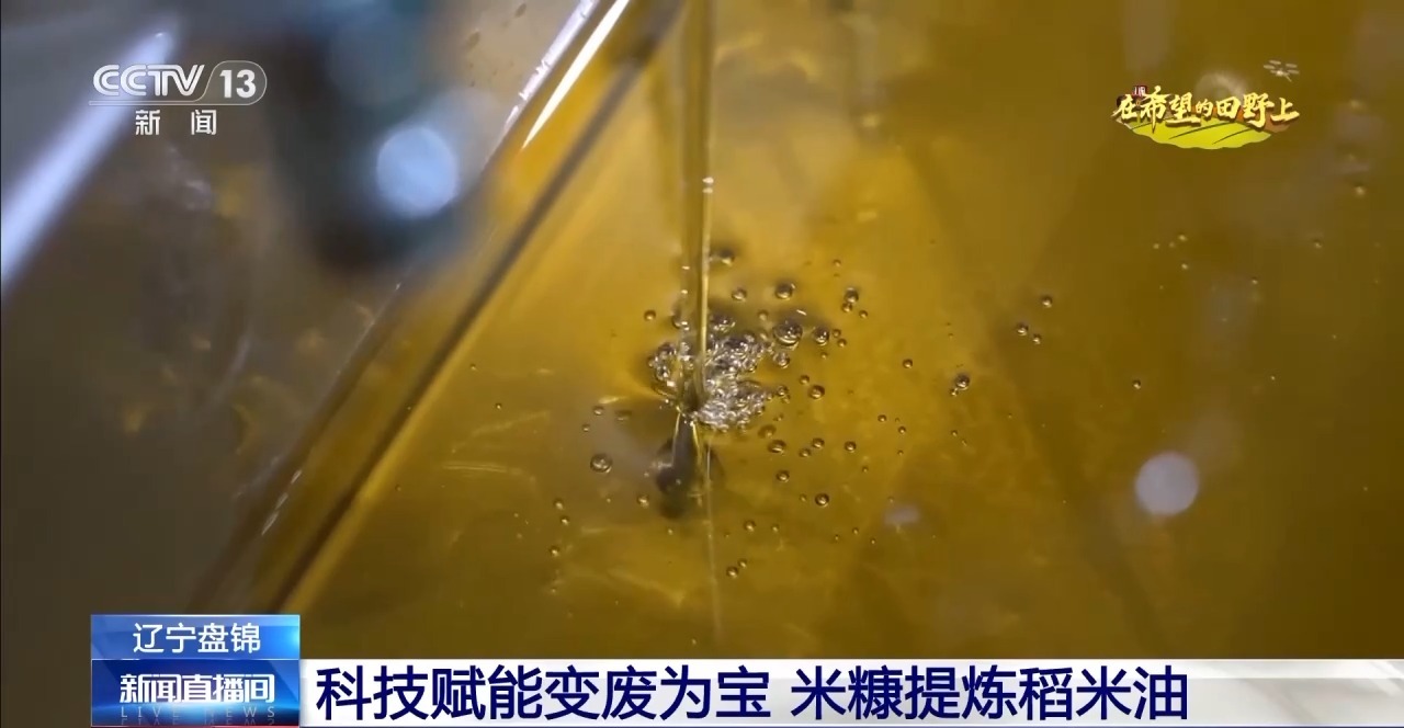 秋粮丰收在望10月的神州大地是金色的(图4)