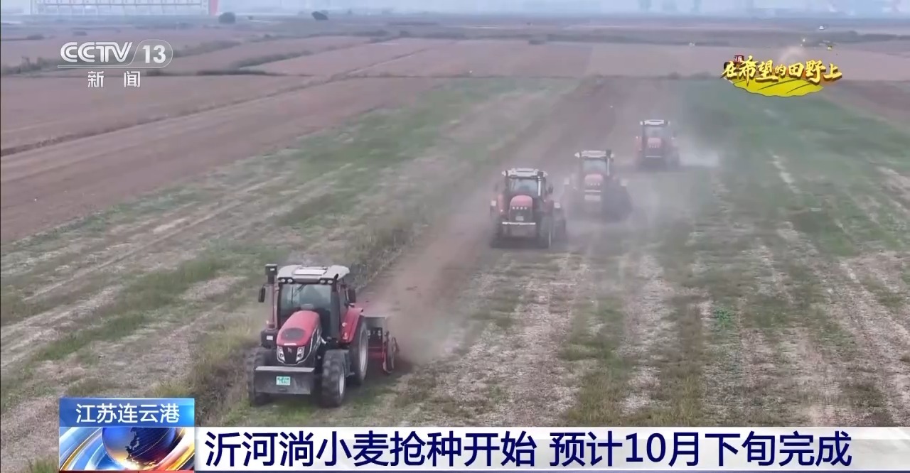 秋粮丰收在望10月的神州大地是金色的(图6)