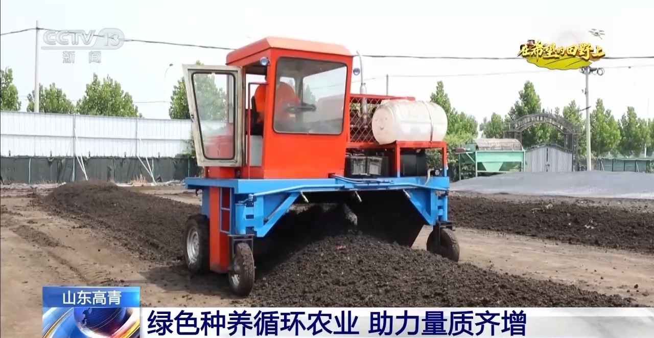 秋粮丰收在望10月的神州大地是金色的(图8)