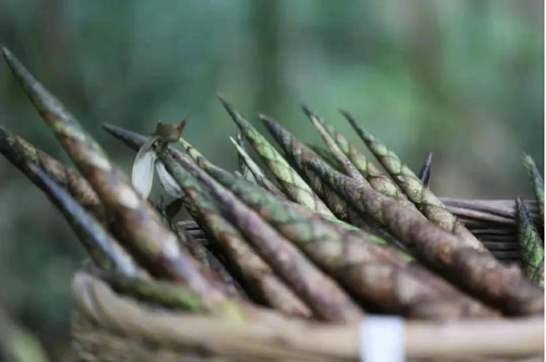 点赞！都江堰市这12个品牌入选2024成都市农业品牌目录(图10)