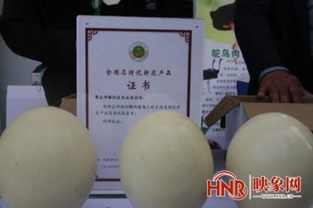 2024年商丘市绿色优质农产品宣传暨产销对接活动举行(图3)
