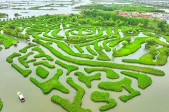 江苏仅5家！盐城盐都大纵湖大闸蟹入选全国农业品牌精品培育计划(图1)