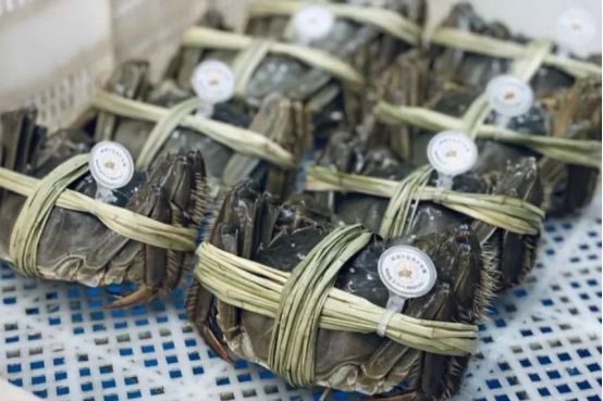 江苏仅5家！盐城盐都大纵湖大闸蟹入选全国农业品牌精品培育计划(图2)