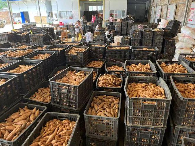 安顺百余种优质农特产品出山进京(图3)